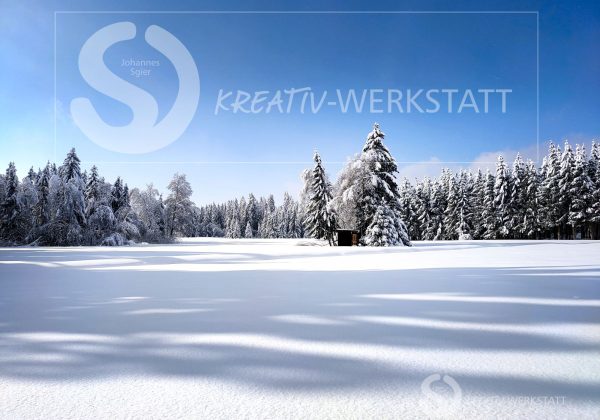 Wald zwischen Herlazhofen und Urlau